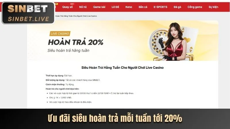 Hoàn trả hàng ngày cho cá cược thể thao